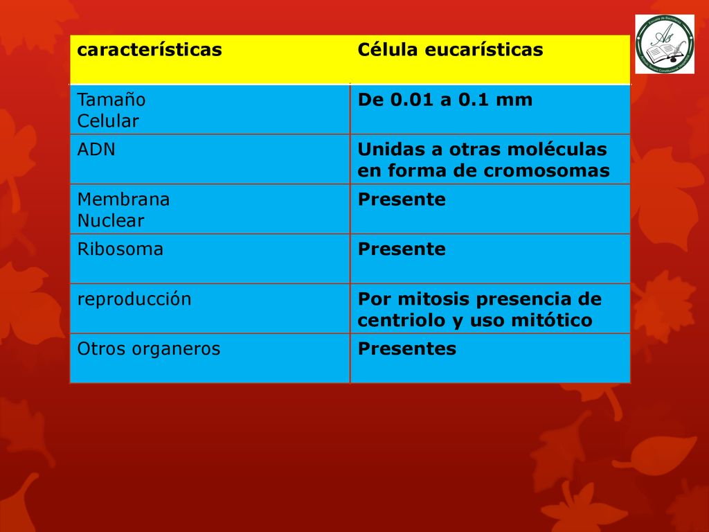 características Célula eucarísticas. Tamaño. Celular. De 0.01 a 0.1 mm. ADN. Unidas a otras moléculas en forma de cromosomas.