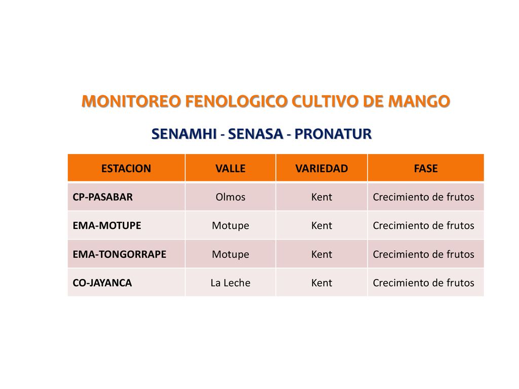 MONITOREO FENOLOGICO CULTIVO DE MANGO SENAMHI - SENASA - PRONATUR