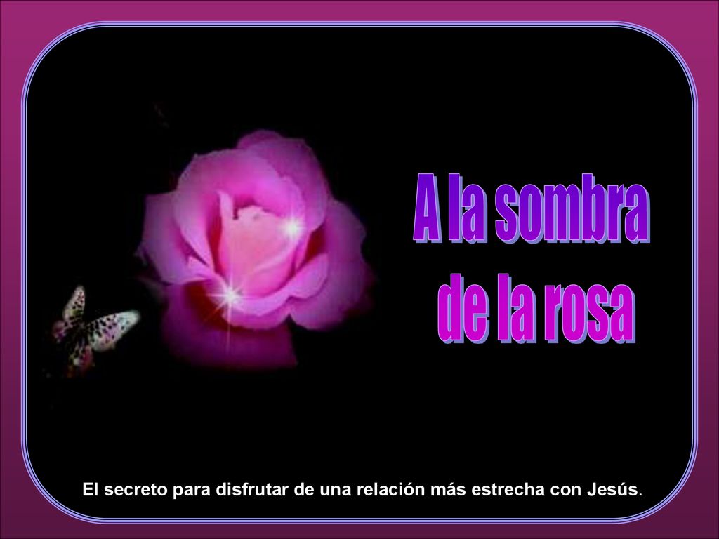 El secreto para disfrutar de una relación más estrecha con Jesús.