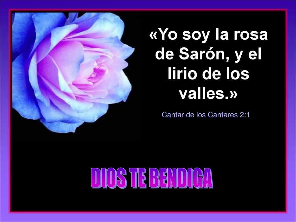 «Yo soy la rosa de Sarón, y el lirio de los valles.»
