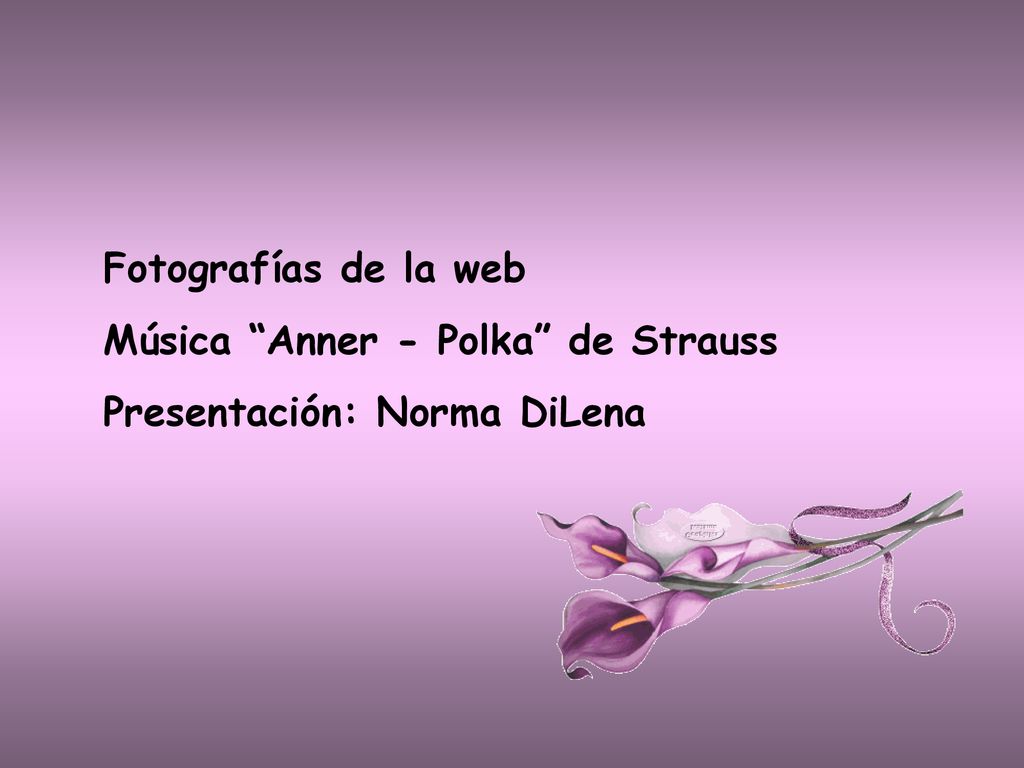 Fotografías de la web Música Anner - Polka de Strauss Presentación: Norma DiLena