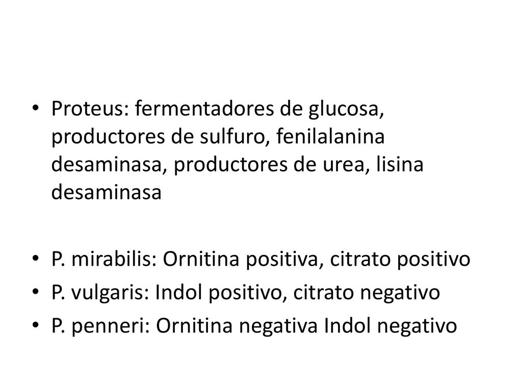 Proteus: fermentadores de glucosa, productores de sulfuro, fenilalanina desaminasa, productores de urea, lisina desaminasa
