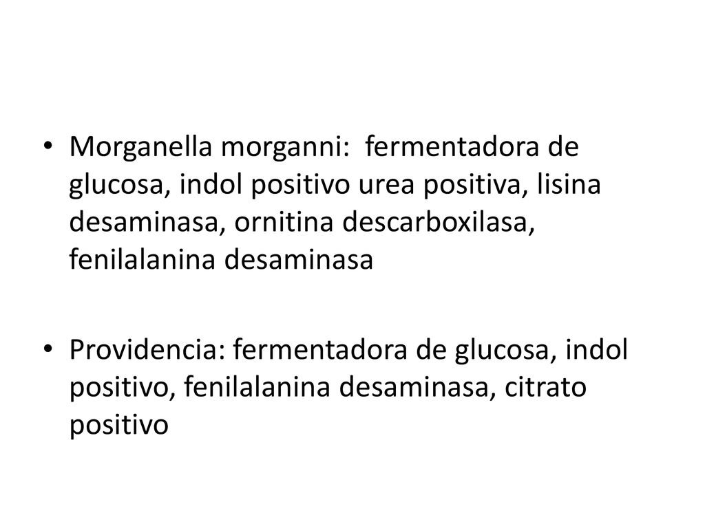 Morganella morganni: fermentadora de glucosa, indol positivo urea positiva, lisina desaminasa, ornitina descarboxilasa, fenilalanina desaminasa