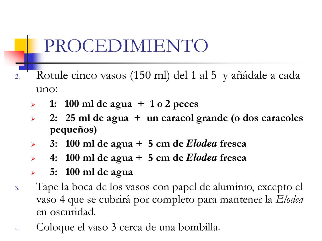 PROCEDIMIENTO Rotule cinco vasos (150 ml) del 1 al 5 y añádale a cada uno: 1: 100 ml de agua + 1 o 2 peces.