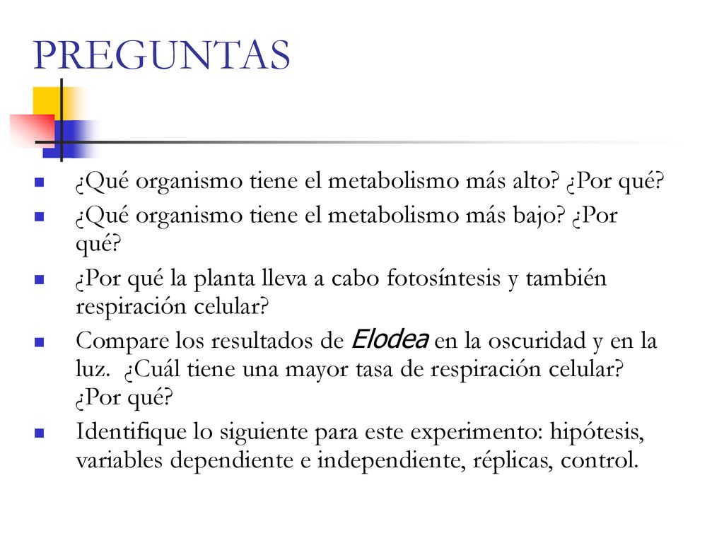 PREGUNTAS ¿Qué organismo tiene el metabolismo más alto ¿Por qué