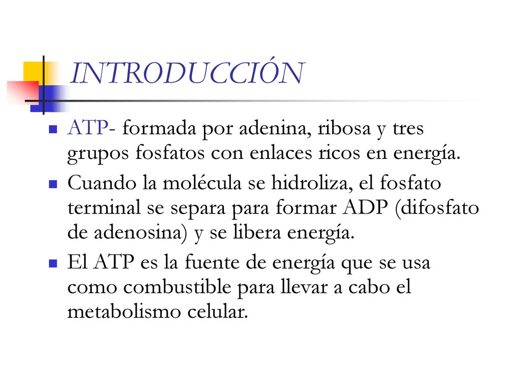 INTRODUCCIÓN ATP- formada por adenina, ribosa y tres grupos fosfatos con enlaces ricos en energía.