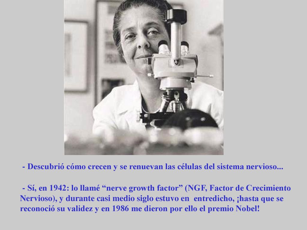 - Descubrió cómo crecen y se renuevan las células del sistema nervioso...