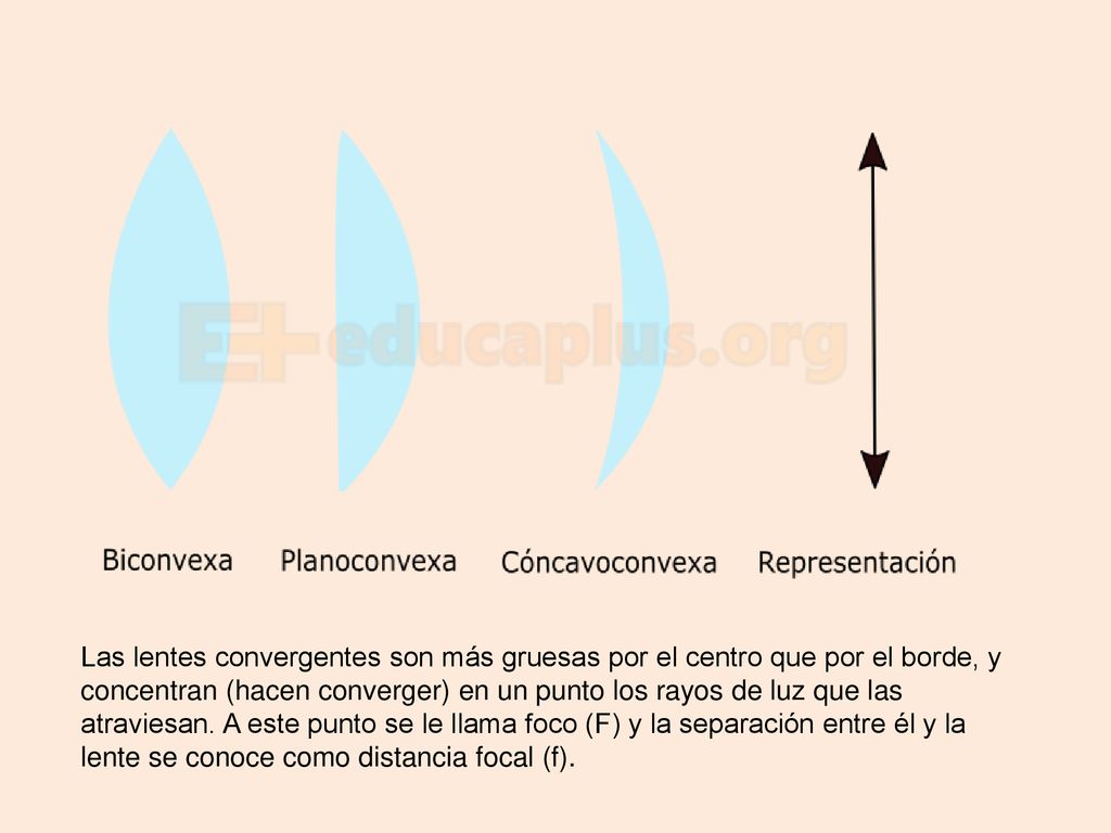 Las lentes convergentes son más gruesas por el centro que por el borde, y concentran (hacen converger) en un punto los rayos de luz que las atraviesan.