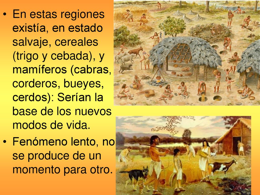 En estas regiones existía, en estado salvaje, cereales (trigo y cebada), y mamíferos (cabras, corderos, bueyes, cerdos): Serían la base de los nuevos modos de vida.