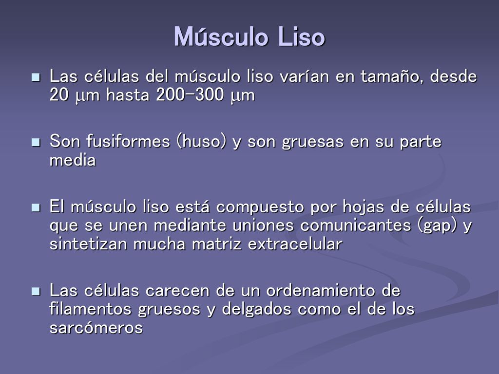 Músculo Liso Las células del músculo liso varían en tamaño, desde 20 mm hasta mm. Son fusiformes (huso) y son gruesas en su parte media.