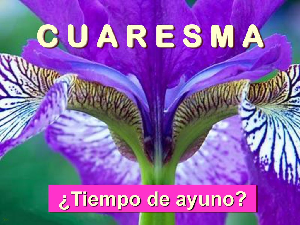 C U A R E S M A ¿Tiempo de ayuno