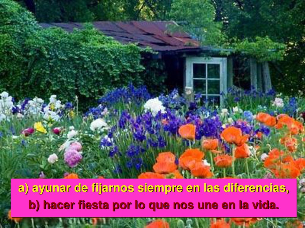 b) hacer fiesta por lo que nos une en la vida.