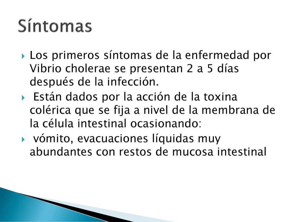 Síntomas Los primeros síntomas de la enfermedad por Vibrio cholerae se presentan 2 a 5 días después de la infección.