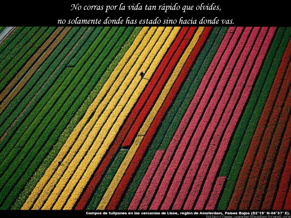 No corras por la vida tan rápido que olvides,