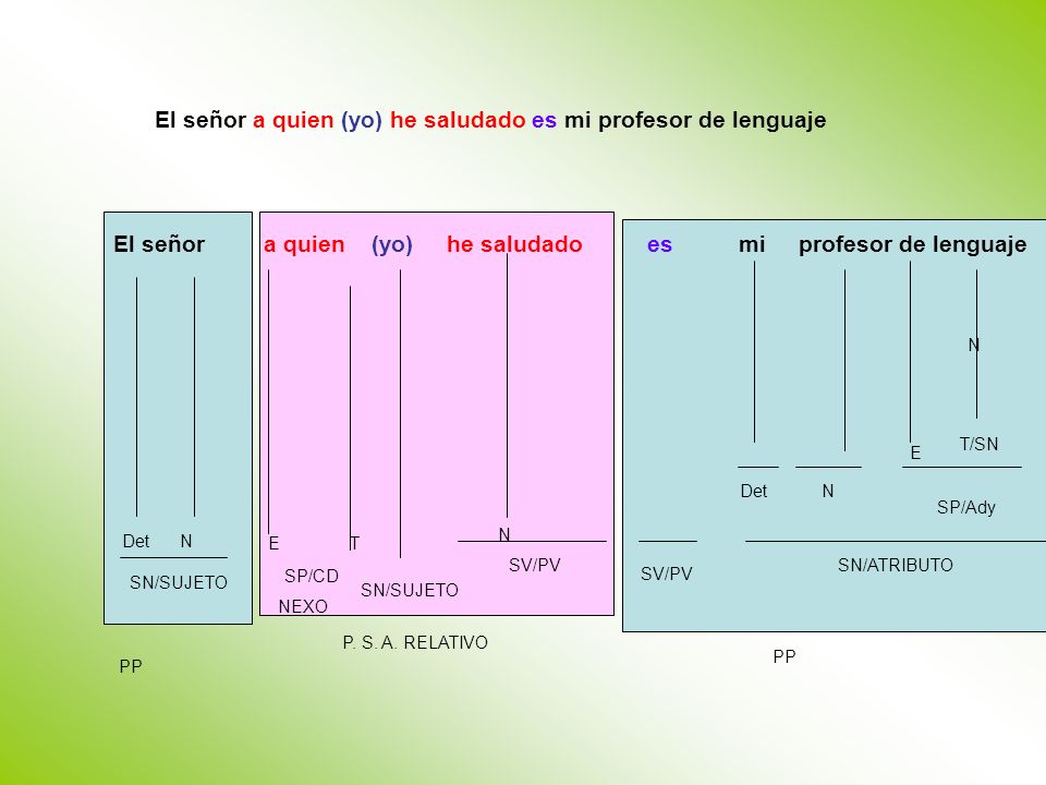 El señor a quien (yo) he saludado es mi profesor de lenguaje