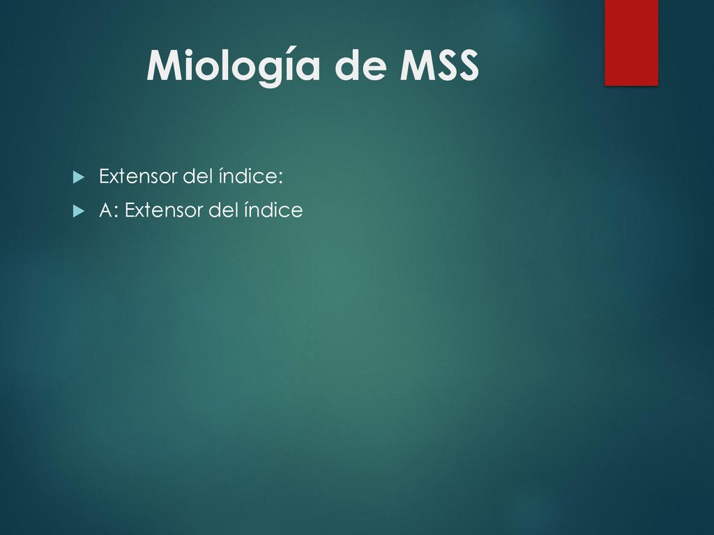 Miología de MSS Extensor del índice: A: Extensor del índice