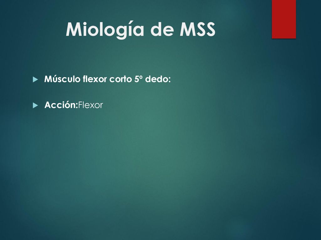 Miología de MSS Músculo flexor corto 5º dedo: Acción:Flexor