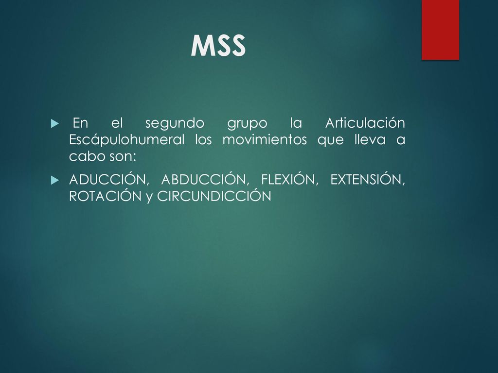 MSS En el segundo grupo la Articulación Escápulohumeral los movimientos que lleva a cabo son:
