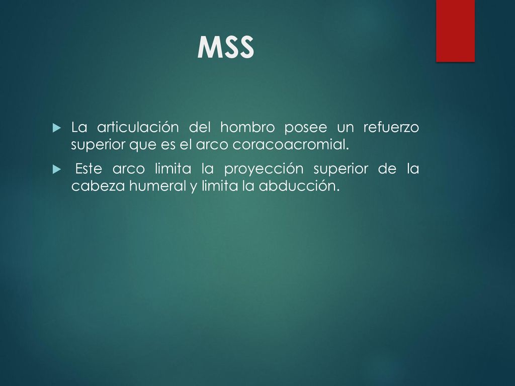 MSS La articulación del hombro posee un refuerzo superior que es el arco coracoacromial.
