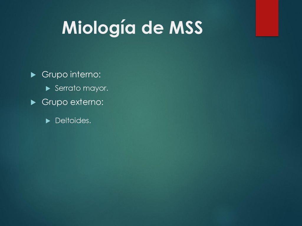 Miología de MSS Grupo interno: Grupo externo: Serrato mayor.