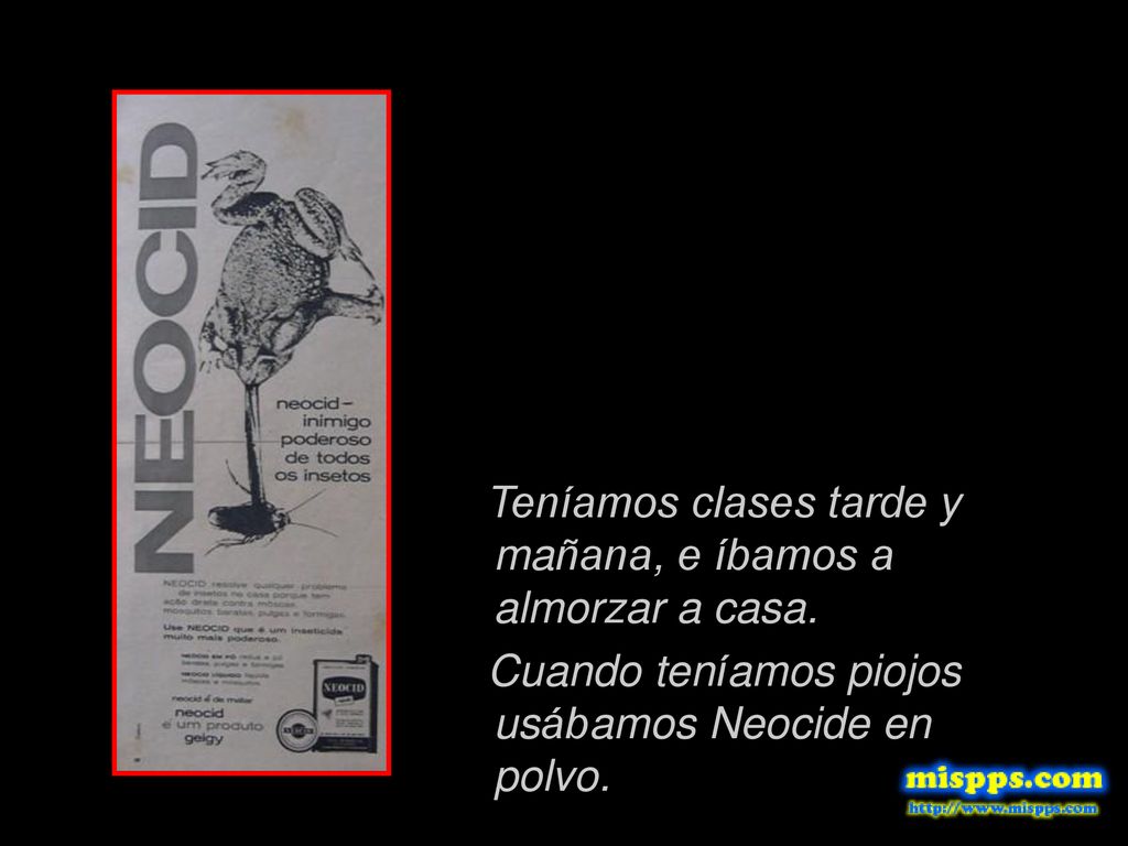 Teníamos clases tarde y mañana, e íbamos a almorzar a casa.