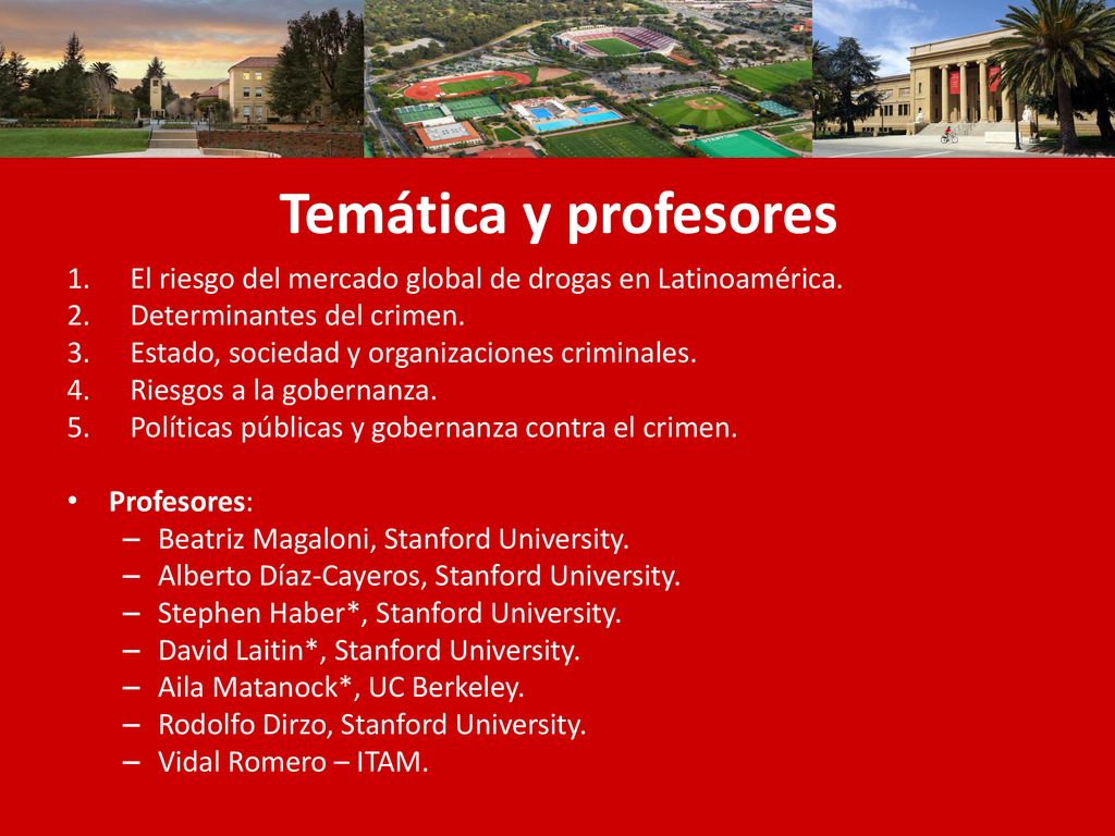 Temática y profesores El riesgo del mercado global de drogas en Latinoamérica. Determinantes del crimen.