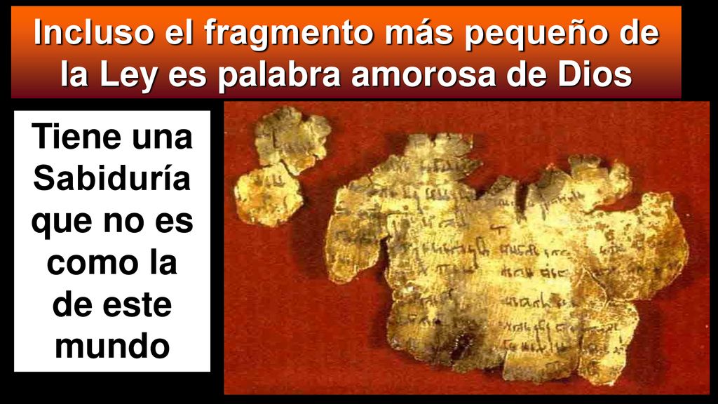 Incluso el fragmento más pequeño de la Ley es palabra amorosa de Dios