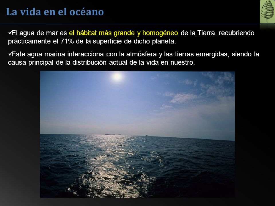 La vida en el océano