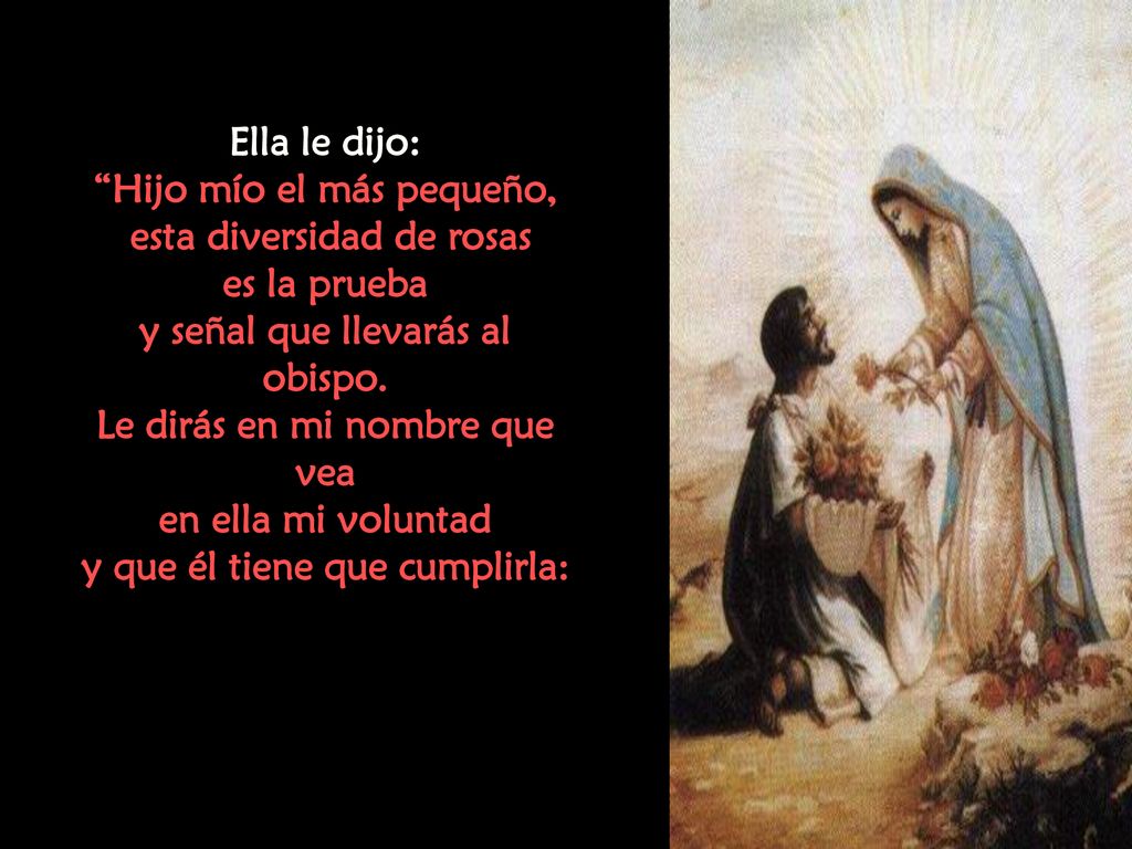 Hijo mío el más pequeño, esta diversidad de rosas es la prueba