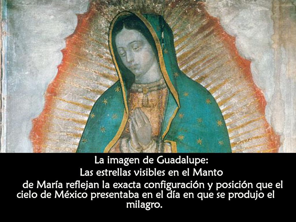 La imagen de Guadalupe: Las estrellas visibles en el Manto