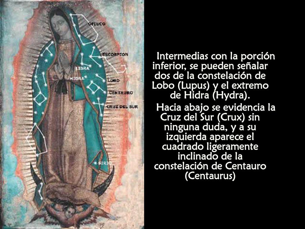 Intermedias con la porción inferior, se pueden señalar dos de la constelación de Lobo (Lupus) y el extremo de Hidra (Hydra).