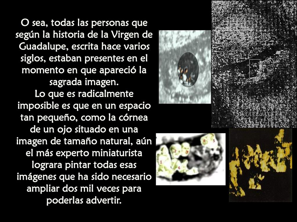O sea, todas las personas que según la historia de la Virgen de Guadalupe, escrita hace varios siglos, estaban presentes en el momento en que apareció la sagrada imagen.