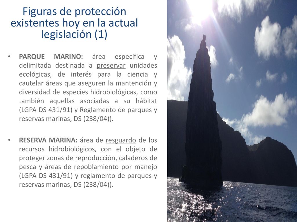 Figuras de protección existentes hoy en la actual legislación (1)
