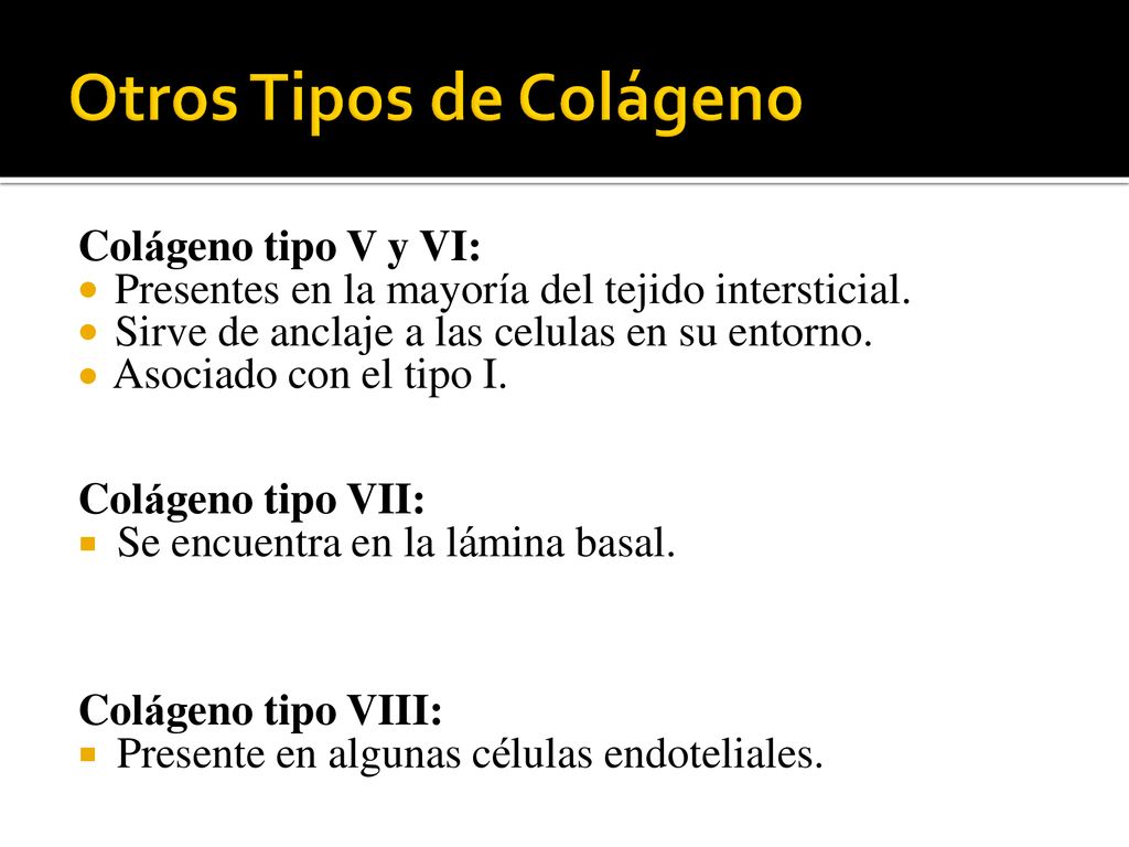 Colágeno tipo V y VI: Colágeno tipo VII: Colágeno tipo VIII: