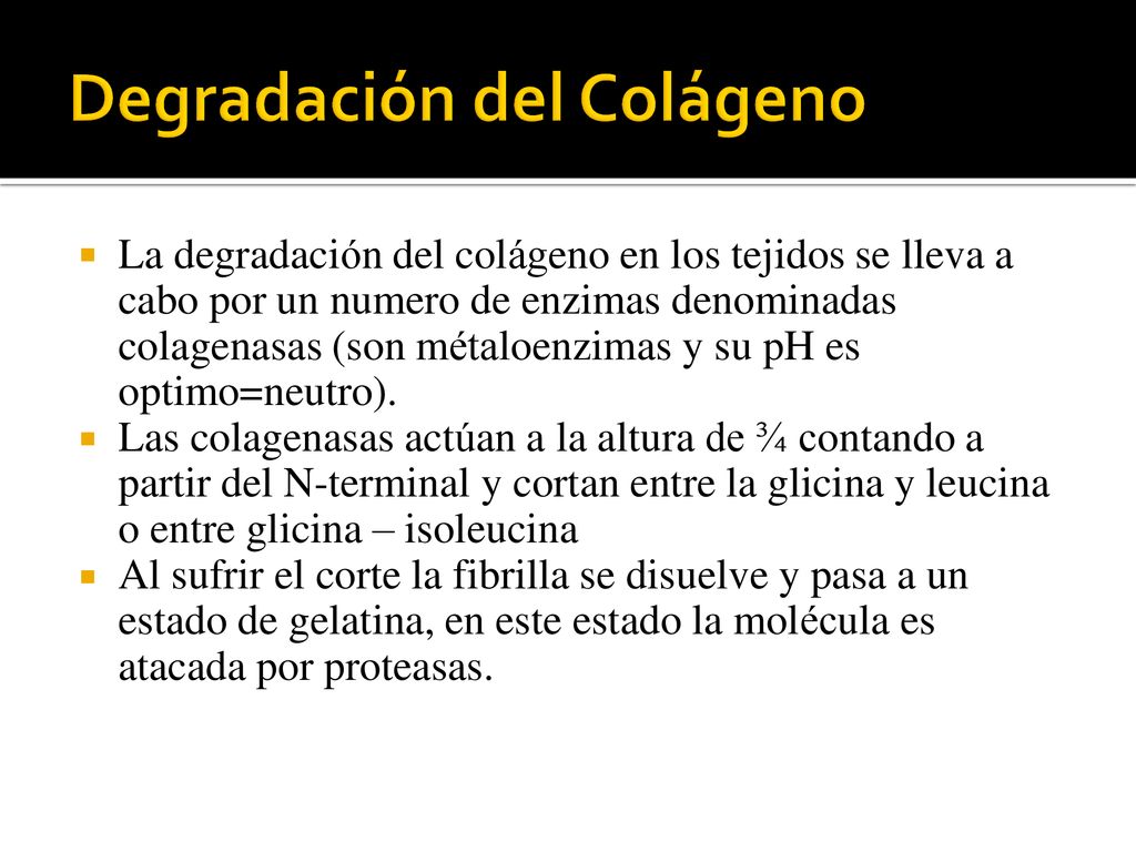 La degradación del colágeno en los tejidos se lleva a