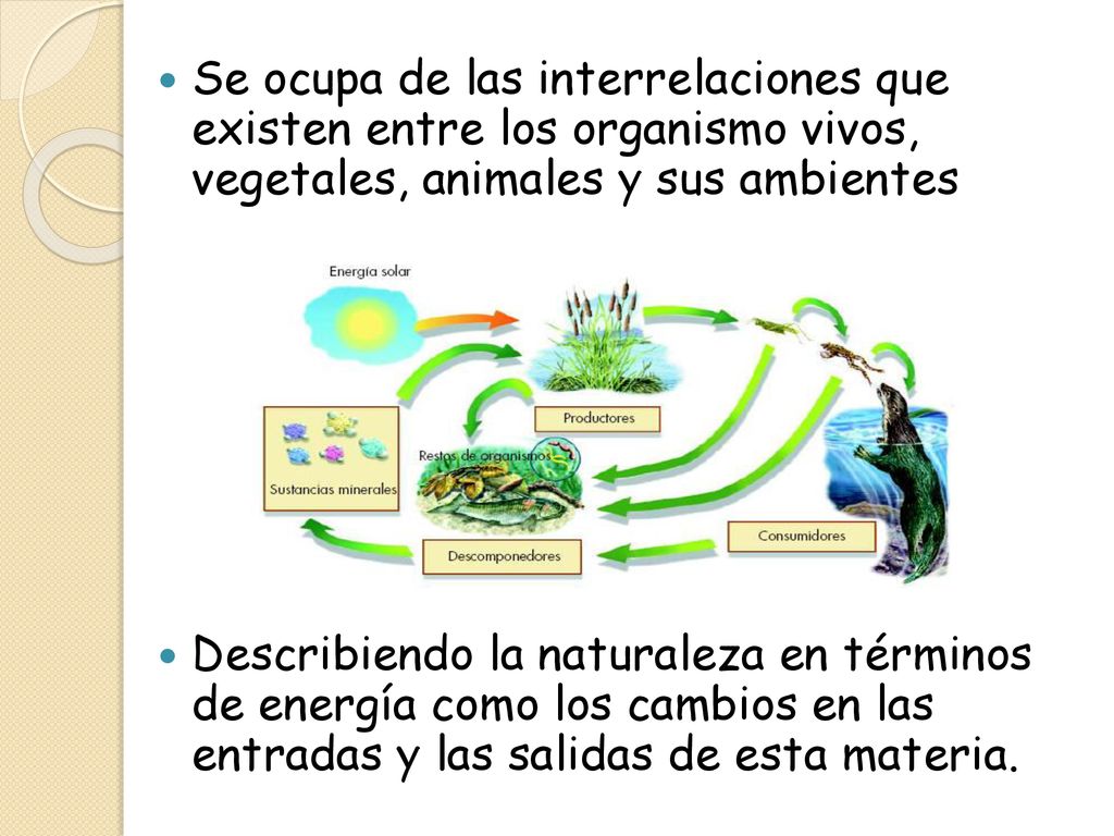 Se ocupa de las interrelaciones que existen entre los organismo vivos, vegetales, animales y sus ambientes