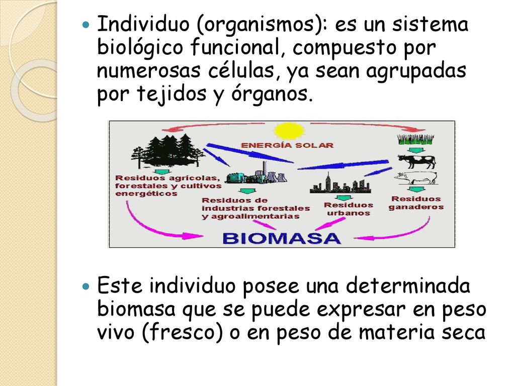 Individuo (organismos): es un sistema biológico funcional, compuesto por numerosas células, ya sean agrupadas por tejidos y órganos.