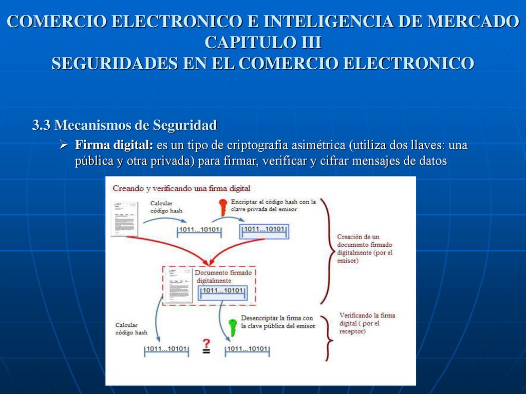 COMERCIO ELECTRONICO E INTELIGENCIA DE MERCADO CAPITULO III SEGURIDADES EN EL COMERCIO ELECTRONICO