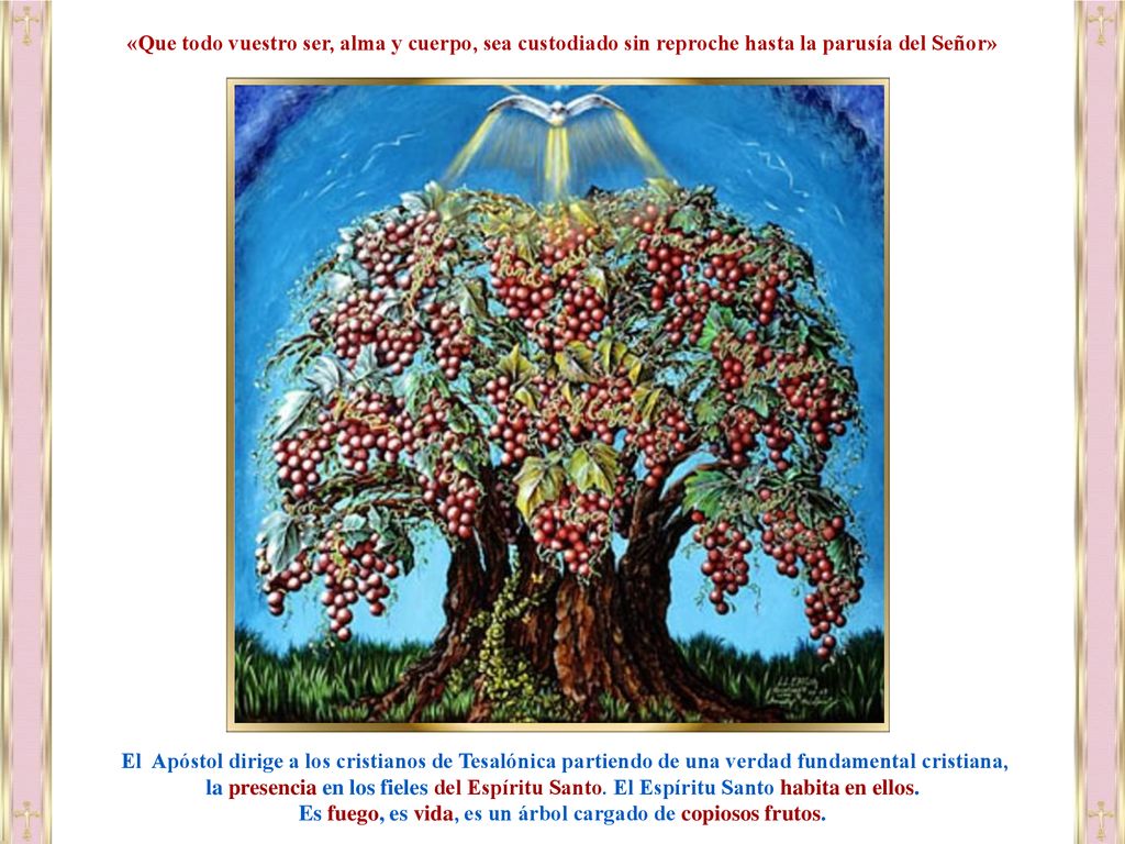 Es fuego, es vida, es un árbol cargado de copiosos frutos.