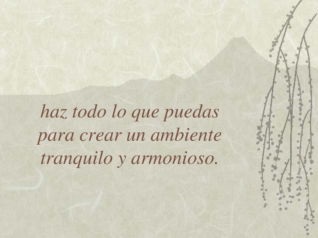 haz todo lo que puedas para crear un ambiente tranquilo y armonioso.