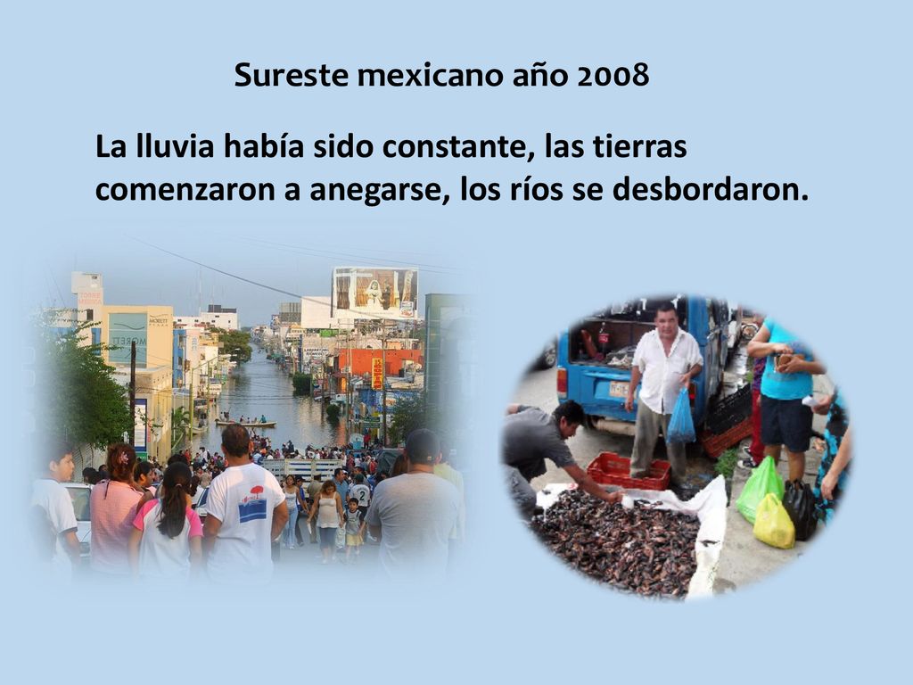 Sureste mexicano año 2008 La lluvia había sido constante, las tierras comenzaron a anegarse, los ríos se desbordaron.