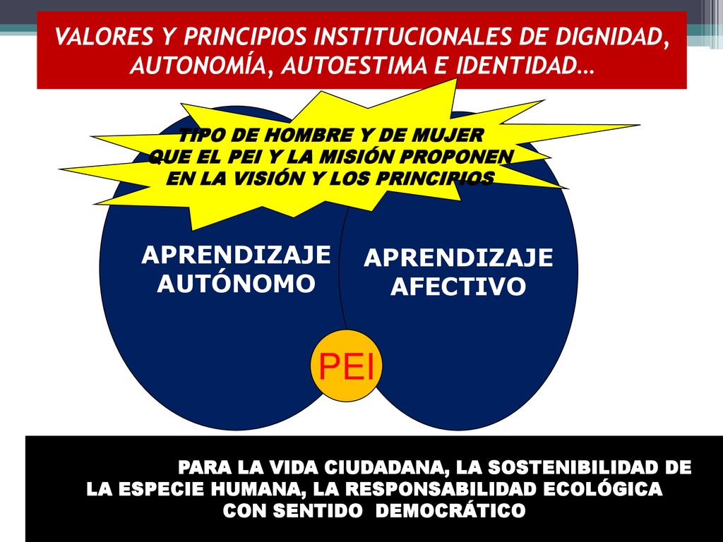 VALORES Y PRINCIPIOS INSTITUCIONALES DE DIGNIDAD, AUTONOMÍA, AUTOESTIMA E IDENTIDAD…