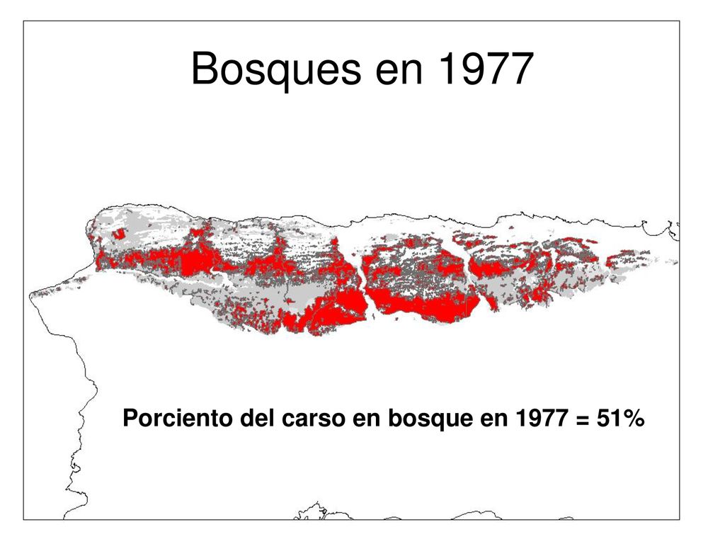 Bosques en 1977 Porciento del carso en bosque en 1977 = 51%