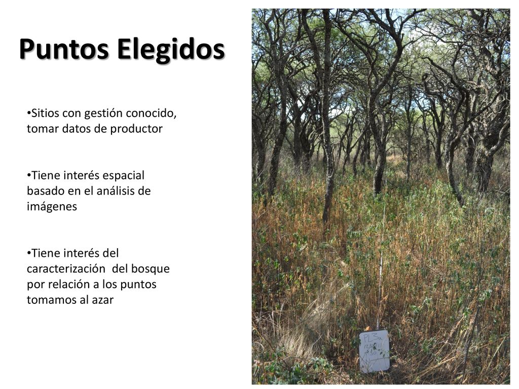 Puntos Elegidos Sitios con gestión conocido, tomar datos de productor
