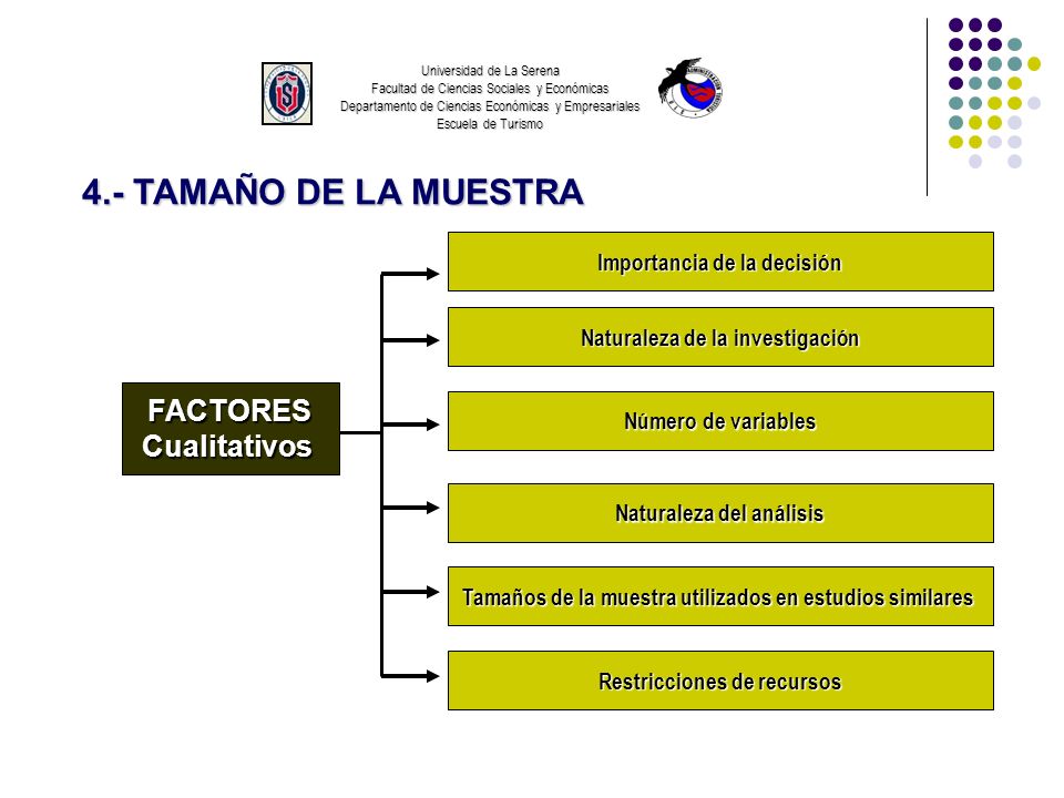 4.- TAMAÑO DE LA MUESTRA FACTORES Cualitativos