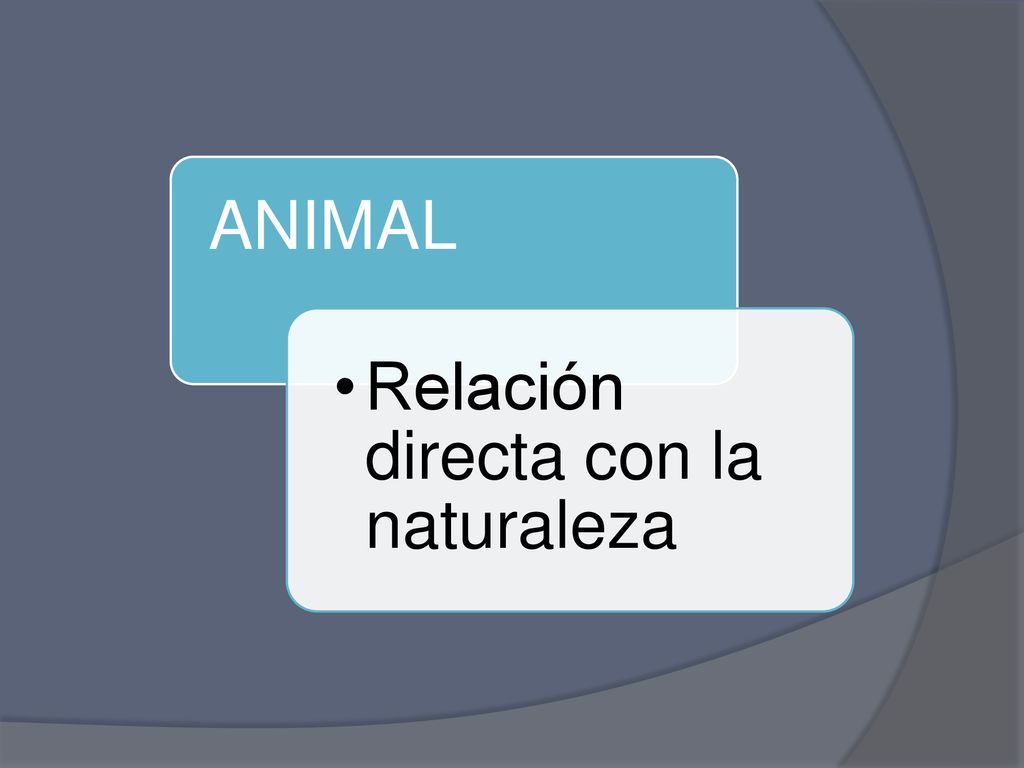 ANIMAL Relación directa con la naturaleza