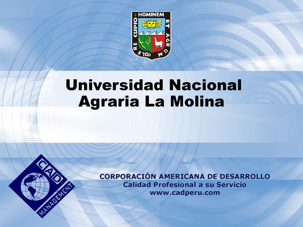 CORPORACIÓN AMERICANA DE DESARROLLO Calidad Profesional a su Servicio