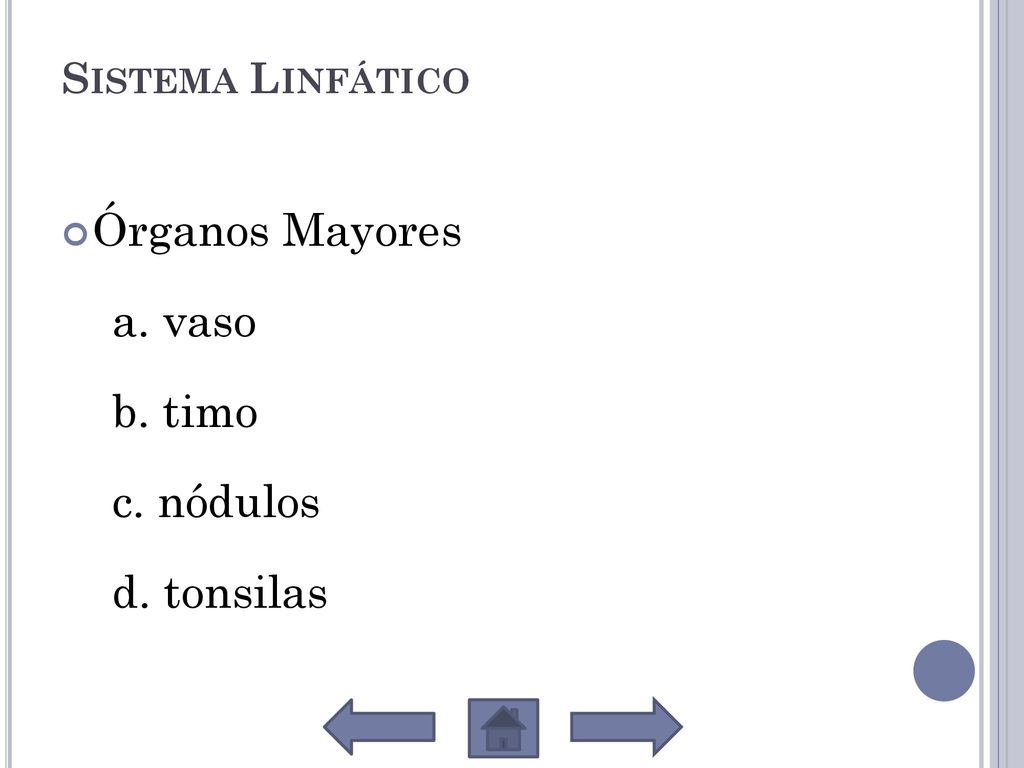 Órganos Mayores a. vaso b. timo c. nódulos d. tonsilas
