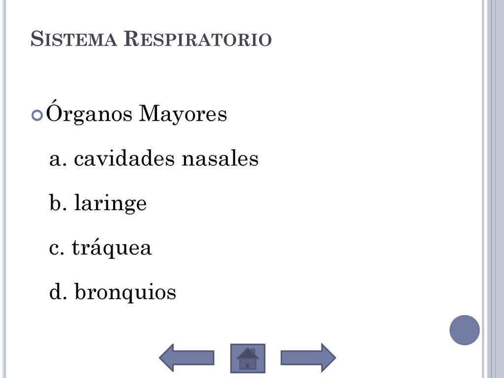 Órganos Mayores a. cavidades nasales b. laringe c. tráquea