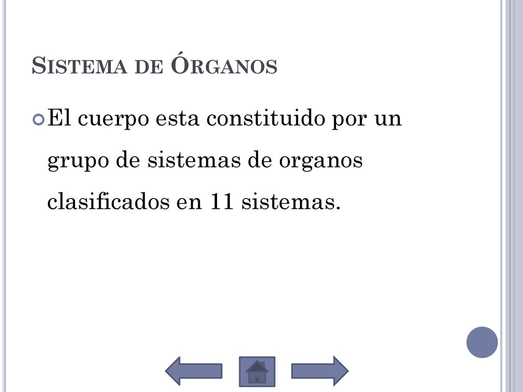 Sistema de Órganos El cuerpo esta constituido por un grupo de sistemas de organos clasificados en 11 sistemas.